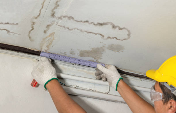 Reliable Mold Remediation contractor in Temple, NH by Water Damage Irwin
